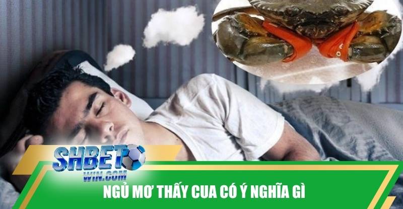 ngu-mo-thay-cua-co-y-nghia-gi-duoc-nhieu-nguoi-tim-hieu