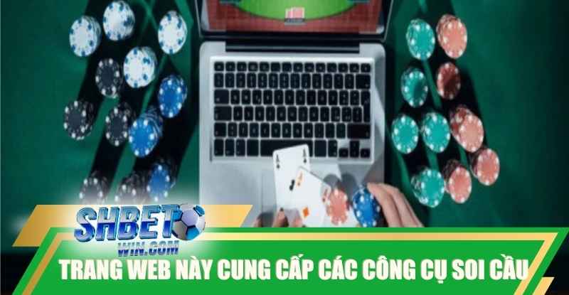 trang-web-nay-cung-cap-cac-cong-cu-soi-cau-tai-xiu-tu-dong